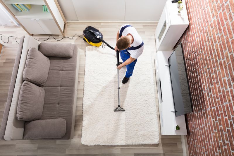 Restore Vibrant Rug Colors