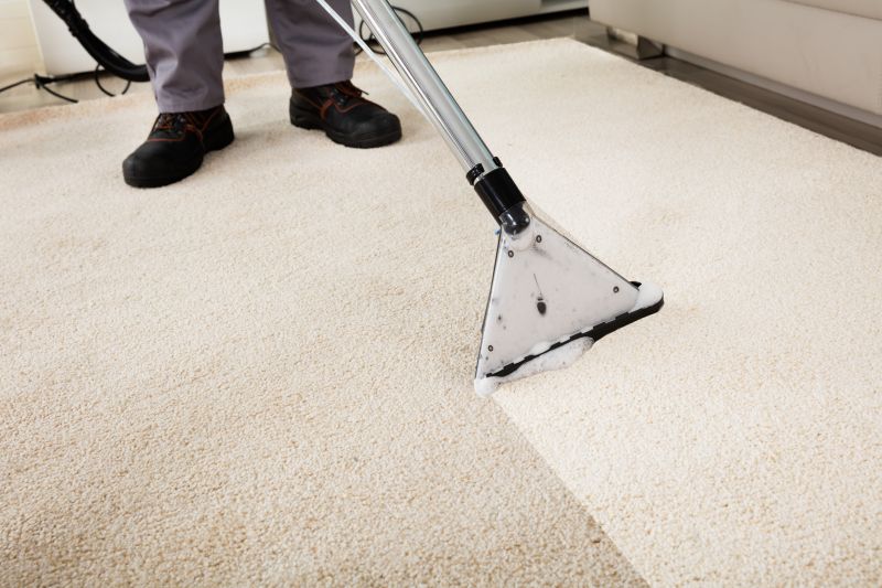 Remove Allergens and Odors